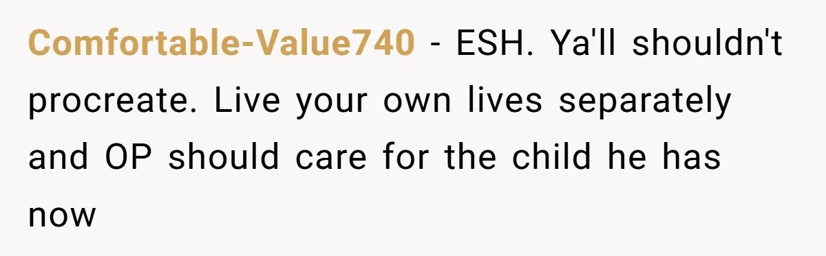 Comfortable-Value740 − ESH. Ya'll shouldn't procreate. Live your own lives separately and OP should care for the child he has now