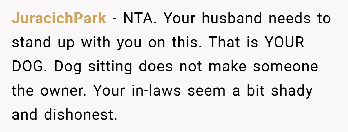 JuracichPark − NTA. Your husband needs to stand up with you on this. That is YOUR DOG. Dog sitting does not make someone the owner. Your in-laws seem a bit...