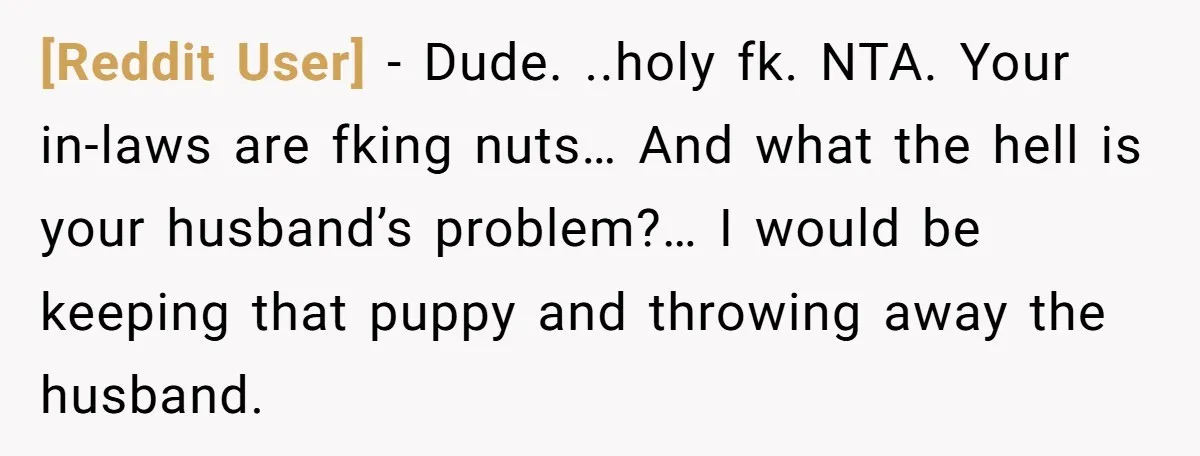 [Reddit User] − Dude. ..holy fk. NTA. Your in-laws are fking nuts… And what the hell is your husband’s problem?… I would be keeping that puppy and throwing away the...