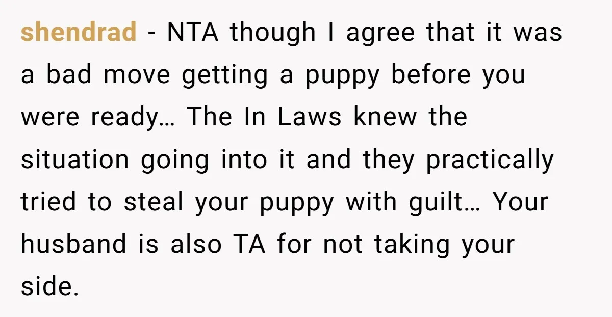shendrad − NTA though I agree that it was a bad move getting a puppy before you were ready… The In Laws knew the situation going into it and they...