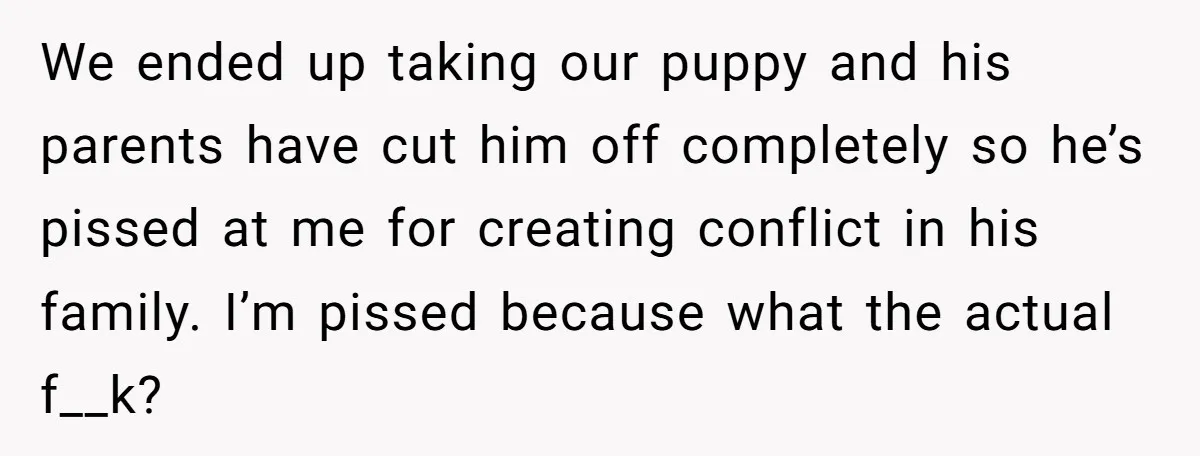 We ended up taking our puppy and his parents have cut him off completely so he’s pissed at me for creating conflict in his family. I’m pissed because what the...