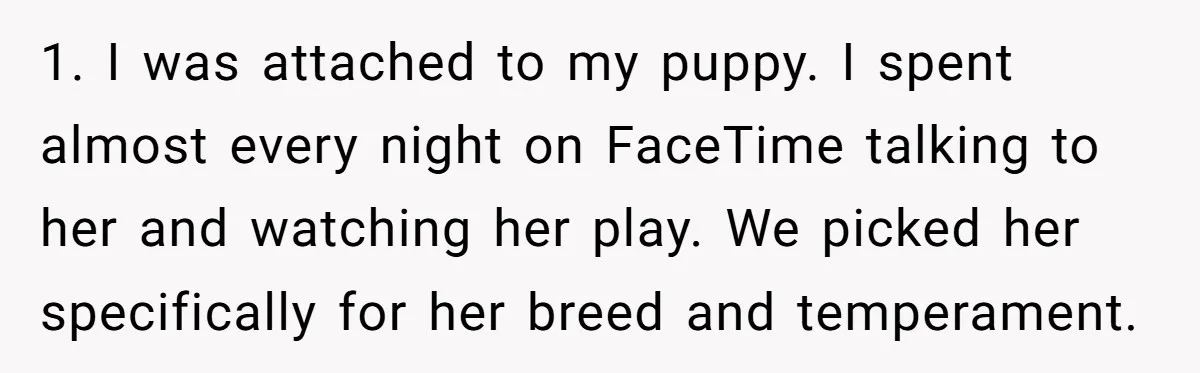 1. I was attached to my puppy. I spent almost every night on FaceTime talking to her and watching her play. We picked her specifically for her breed and temperament.