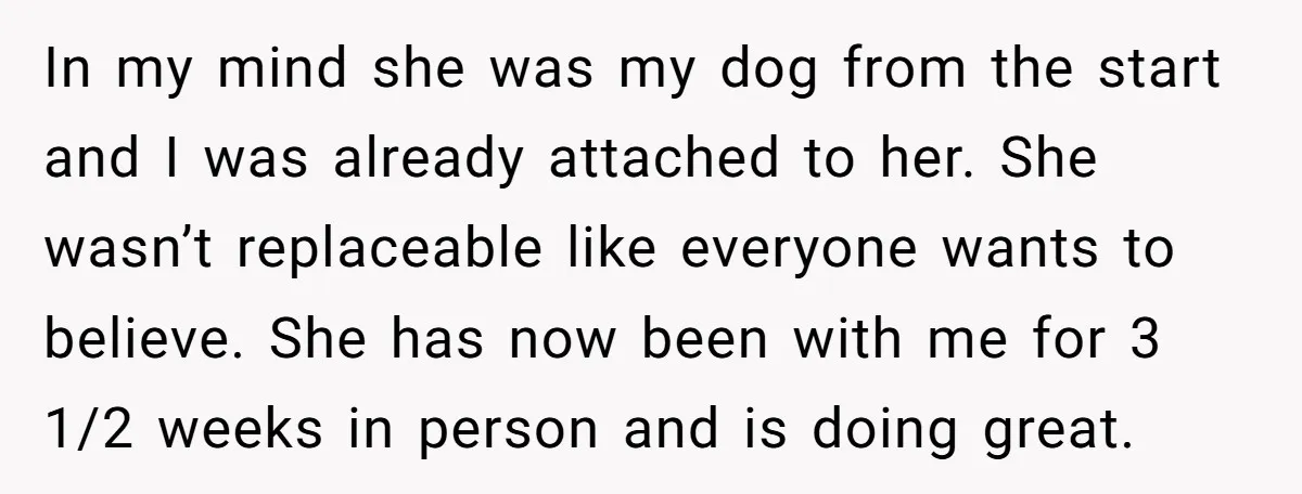 In my mind she was my dog from the start and I was already attached to her. She wasn’t replaceable like everyone wants to believe. She has now been with...