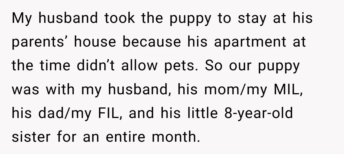 My husband took the puppy to stay at his parents’ house because his apartment at the time didn’t allow pets. So our puppy was with my husband, his mom/my MIL,...
