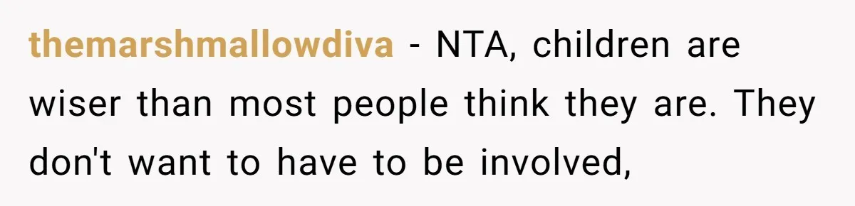 themarshmallowdiva − NTA, children are wiser than most people think they are. They don't want to have to be involved,