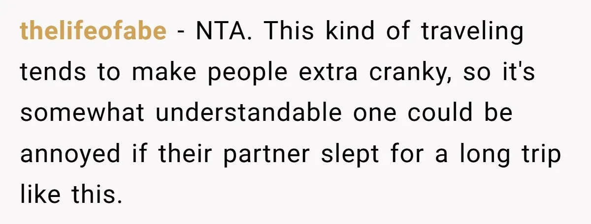 thelifeofabe − NTA. This kind of traveling tends to make people extra cranky, so it's somewhat understandable one could be annoyed if their partner slept for a long trip like...