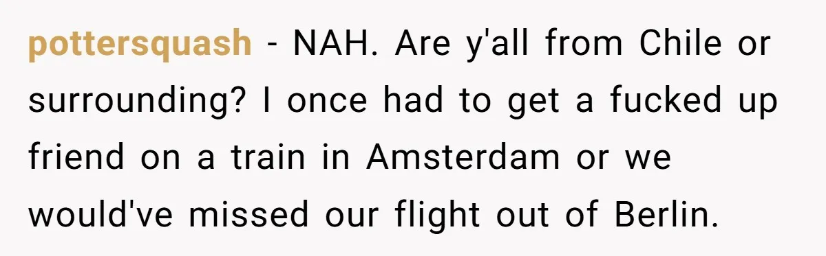 pottersquash − NAH. Are y'all from Chile or surrounding? I once had to get a fucked up friend on a train in Amsterdam or we would've missed our flight out...