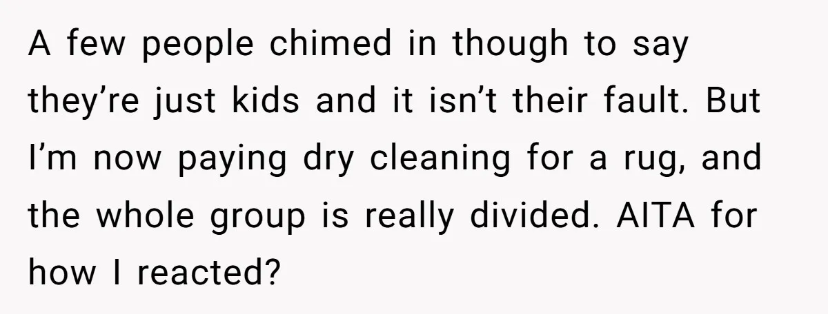A few people chimed in though to say they’re just kids and it isn’t their fault. But I’m now paying dry cleaning for a rug, and the whole group is...