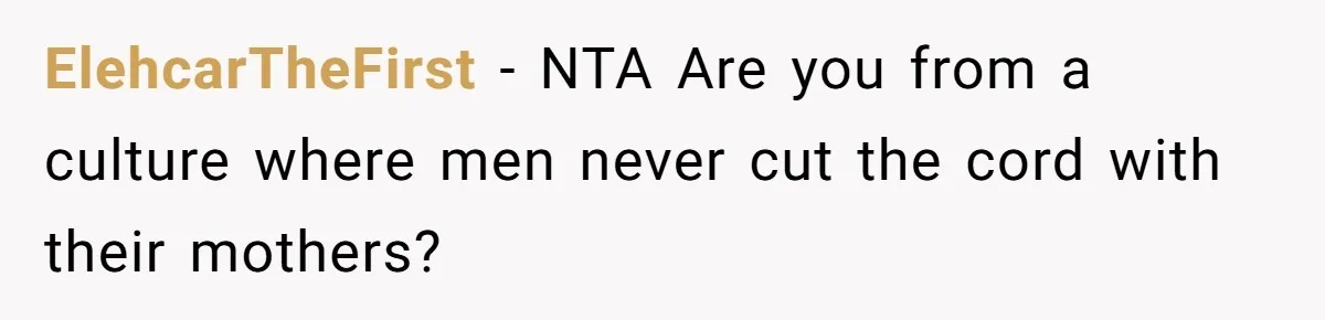 ElehcarTheFirst − NTA Are you from a culture where men never cut the cord with their mothers?