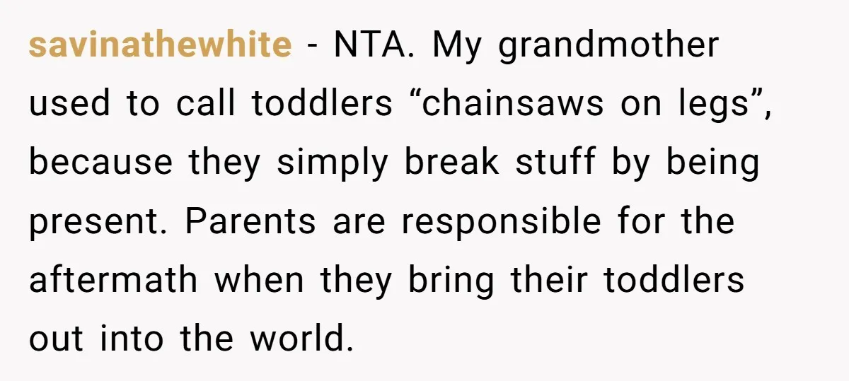 savinathewhite − NTA. My grandmother used to call toddlers “chainsaws on legs”, because they simply break stuff by being present. Parents are responsible for the aftermath when they bring their...