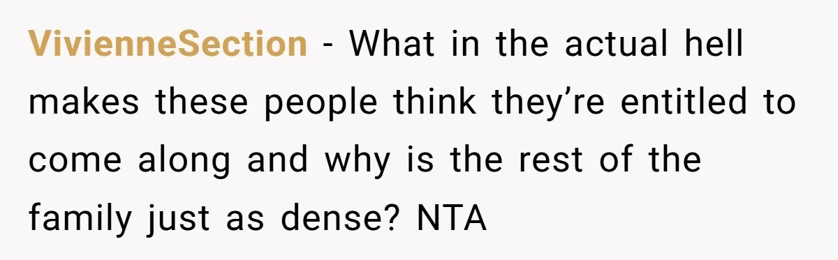 VivienneSection − What in the actual hell makes these people think they’re entitled to come along and why is the rest of the family just as dense? NTA
