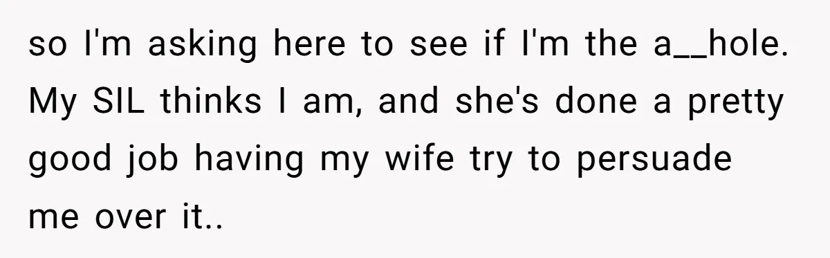 so I'm asking here to see if I'm the a__hole. My SIL thinks I am, and she's done a pretty good job having my wife try to persuade me over...