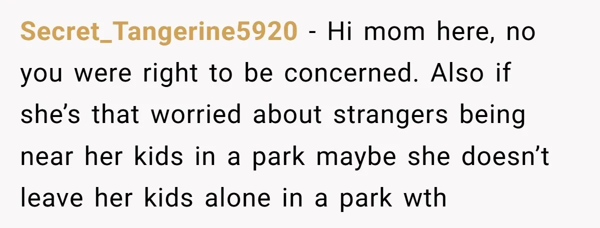 Secret_Tangerine5920 − Hi mom here, no you were right to be concerned. Also if she’s that worried about strangers being near her kids in a park maybe she doesn’t leave...