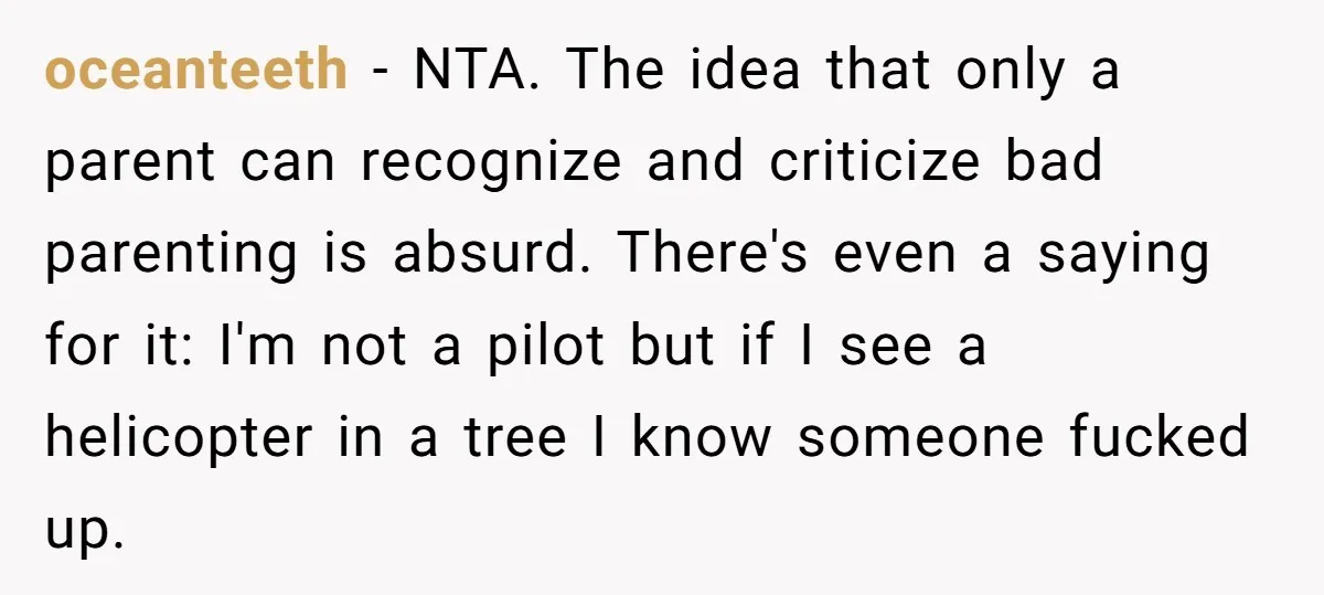 oceanteeth − NTA. The idea that only a parent can recognize and criticize bad parenting is absurd. There's even a saying for it: I'm not a pilot but if I...