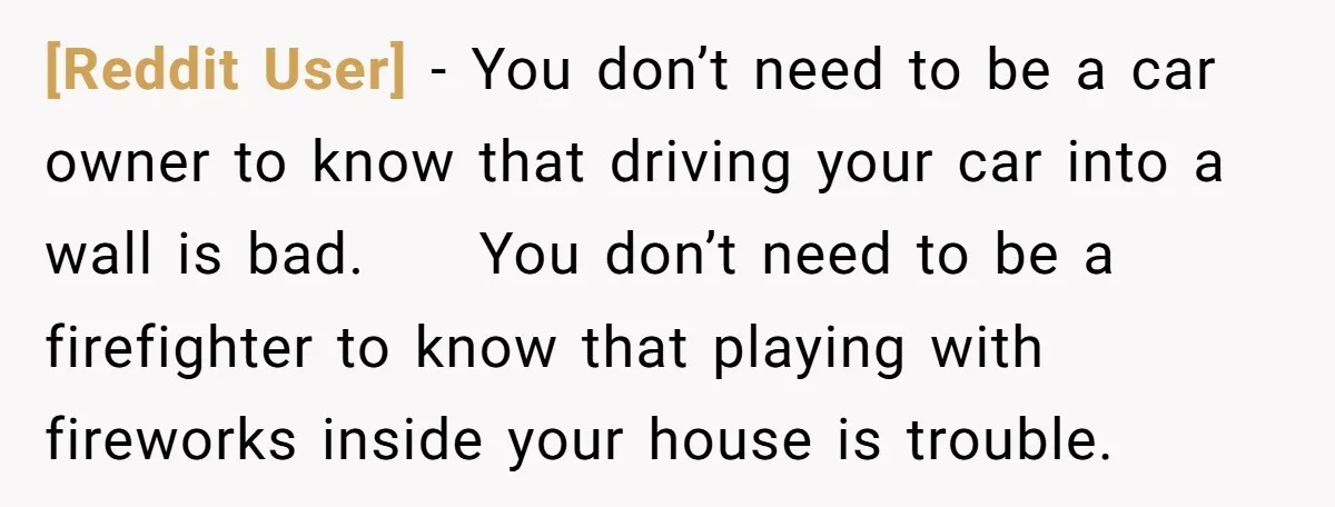 [Reddit User] − You don’t need to be a car owner to know that driving your car into a wall is bad. You don’t need to be a firefighter to...