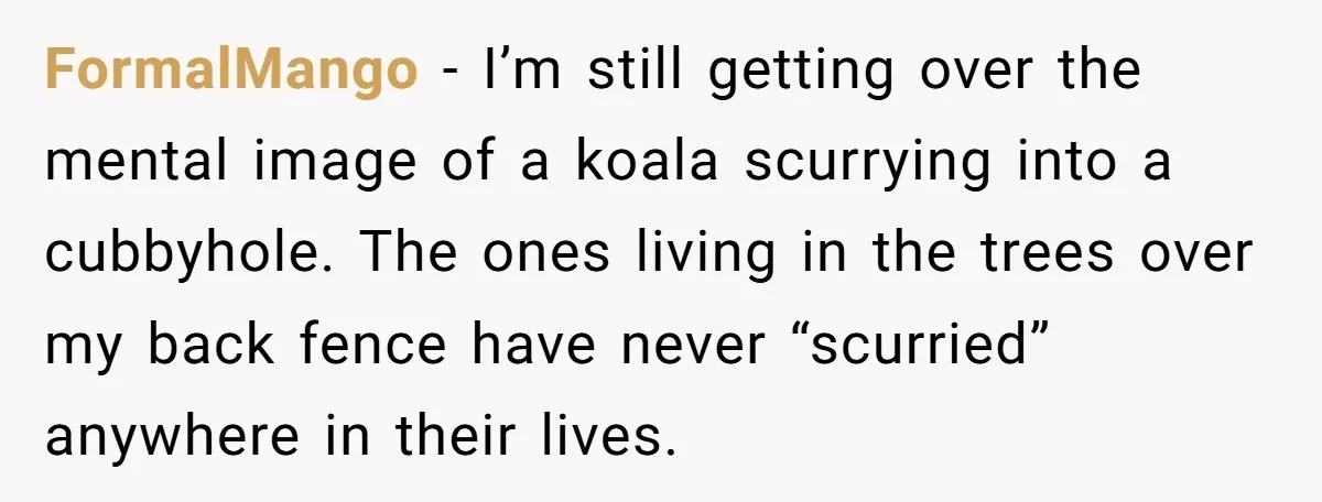 FormalMango − I’m still getting over the mental image of a koala scurrying into a cubbyhole. The ones living in the trees over my back fence have never “scurried” anywhere...