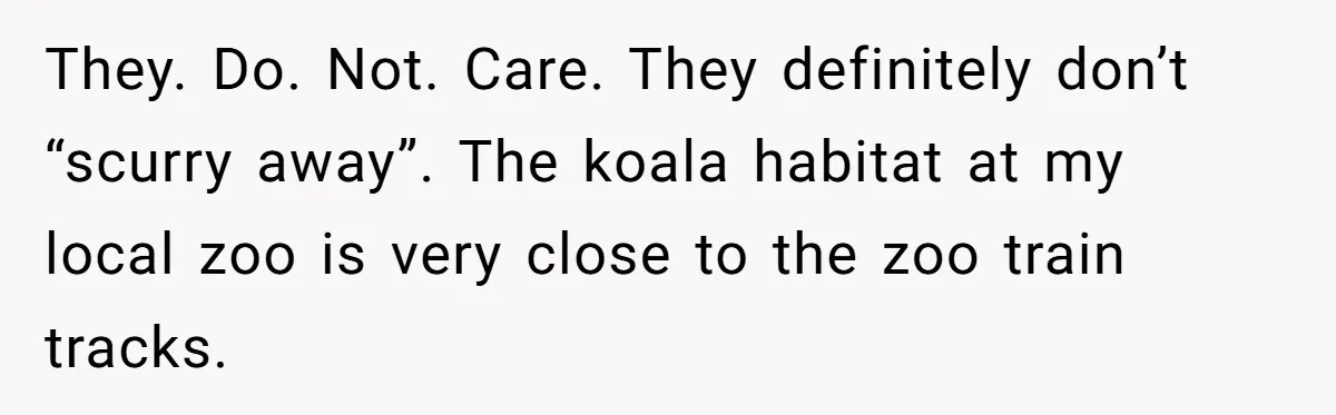 They. Do. Not. Care. They definitely don’t “scurry away”. The koala habitat at my local zoo is very close to the zoo train tracks.