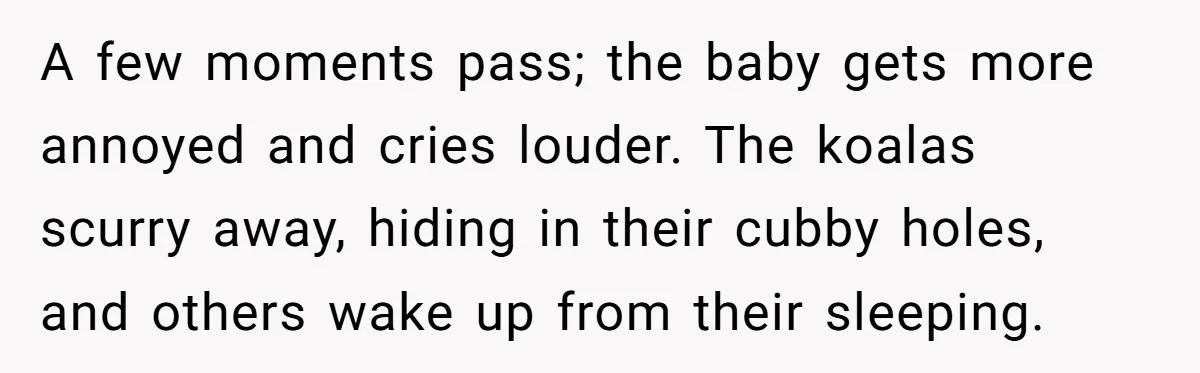 A few moments pass; the baby gets more annoyed and cries louder. The koalas scurry away, hiding in their cubby holes, and others wake up from their sleeping.