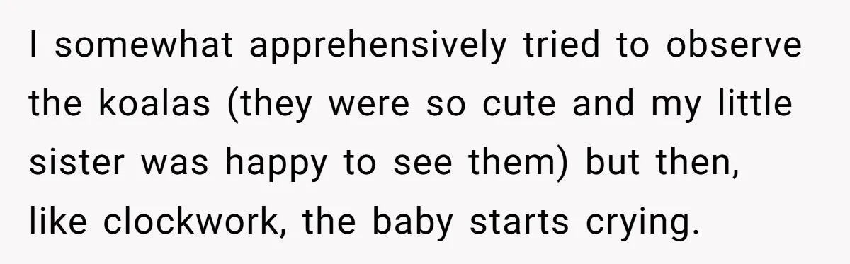 I somewhat apprehensively tried to observe the koalas (they were so cute and my little sister was happy to see them) but then, like clockwork, the baby starts crying.