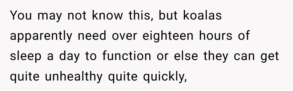 You may not know this, but koalas apparently need over eighteen hours of sleep a day to function or else they can get quite unhealthy quite quickly,