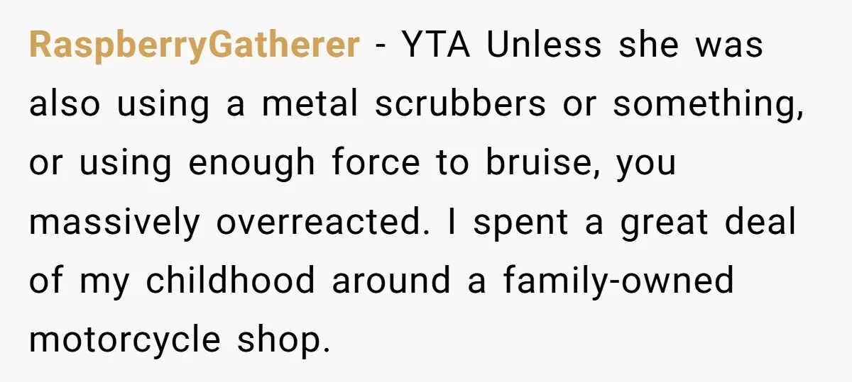 RaspberryGatherer − YTA Unless she was also using a metal scrubbers or something, or using enough force to bruise, you massively overreacted. I spent a great deal of my childhood...