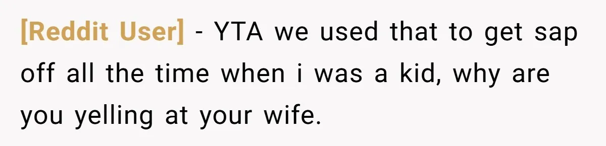 [Reddit User] − YTA we used that to get sap off all the time when i was a kid, why are you yelling at your wife.