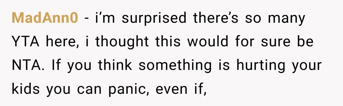 MadAnn0 − i’m surprised there’s so many YTA here, i thought this would for sure be NTA. If you think something is hurting your kids you can panic, even if,