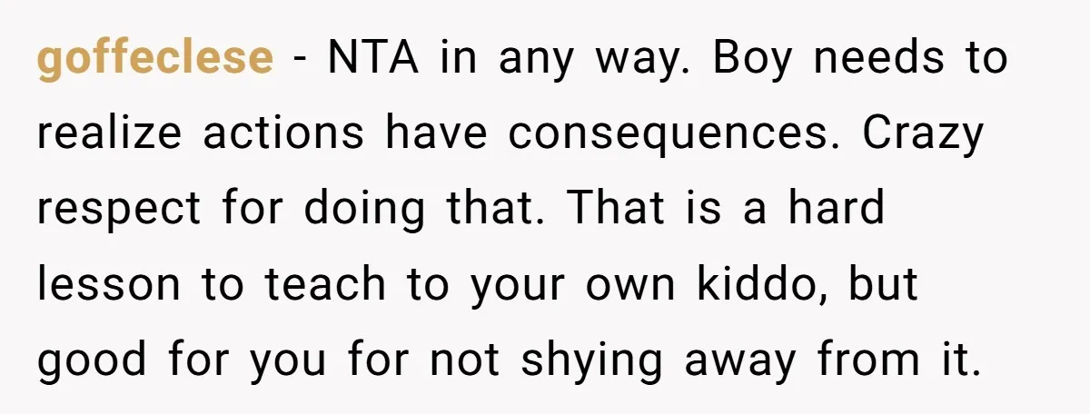 goffeclese − NTA in any way. Boy needs to realize actions have consequences. Crazy respect for doing that. That is a hard lesson to teach to your own kiddo, but...