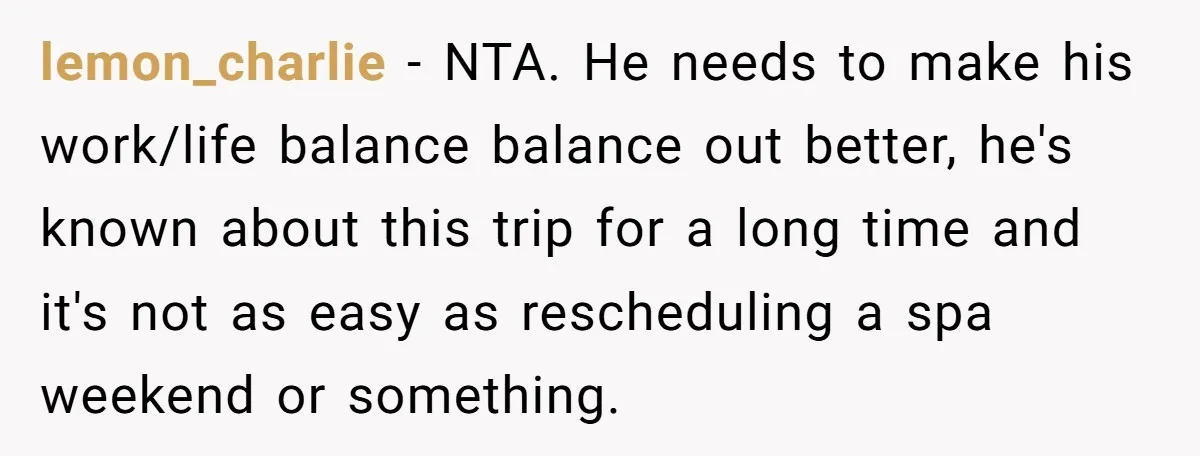 lemon_charlie − NTA. He needs to make his work/life balance balance out better, he's known about this trip for a long time and it's not as easy as rescheduling a...