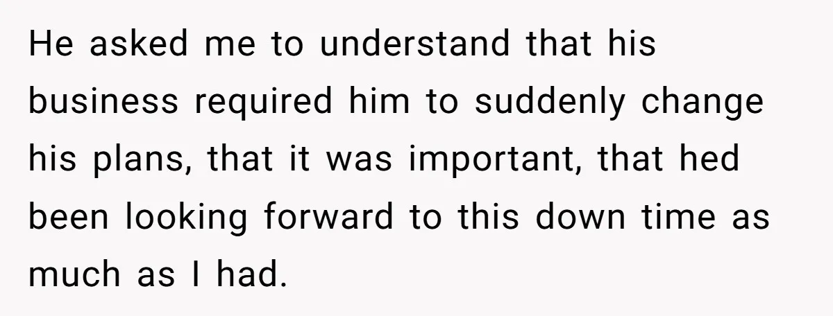 He asked me to understand that his business required him to suddenly change his plans, that it was important, that hed been looking forward to this down time as much...