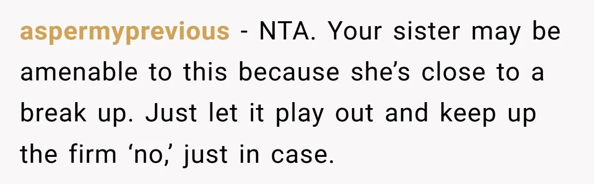 aspermyprevious − NTA. Your sister may be amenable to this because she’s close to a break up. Just let it play out and keep up the firm ‘no,’ just in...