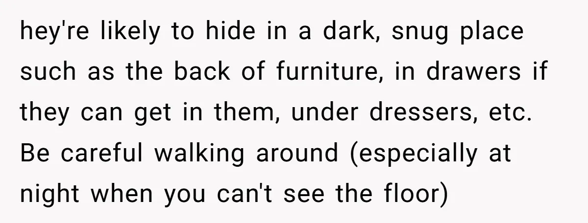 hey're likely to hide in a dark, snug place such as the back of furniture, in drawers if they can get in them, under dressers, etc. Be careful walking around...