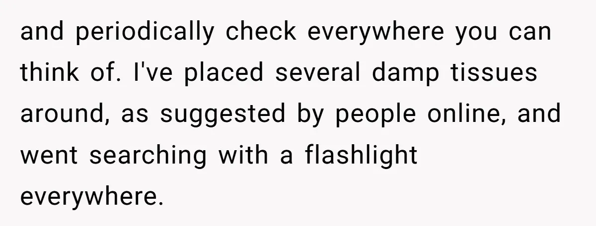 and periodically check everywhere you can think of. I've placed several damp tissues around, as suggested by people online, and went searching with a flashlight everywhere.