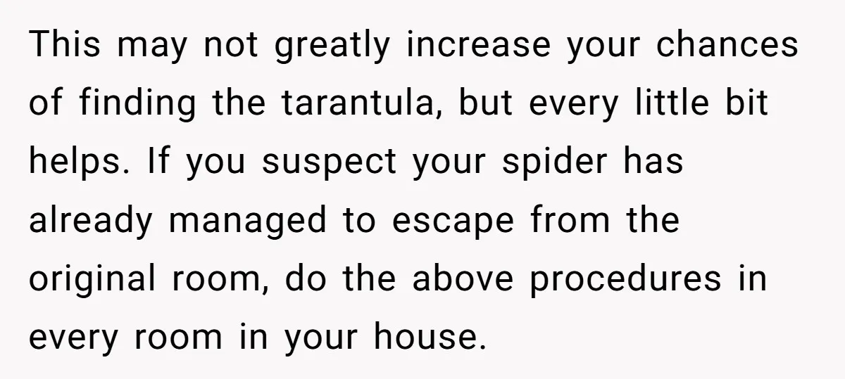 This may not greatly increase your chances of finding the tarantula, but every little bit helps. If you suspect your spider has already managed to escape from the original room,...