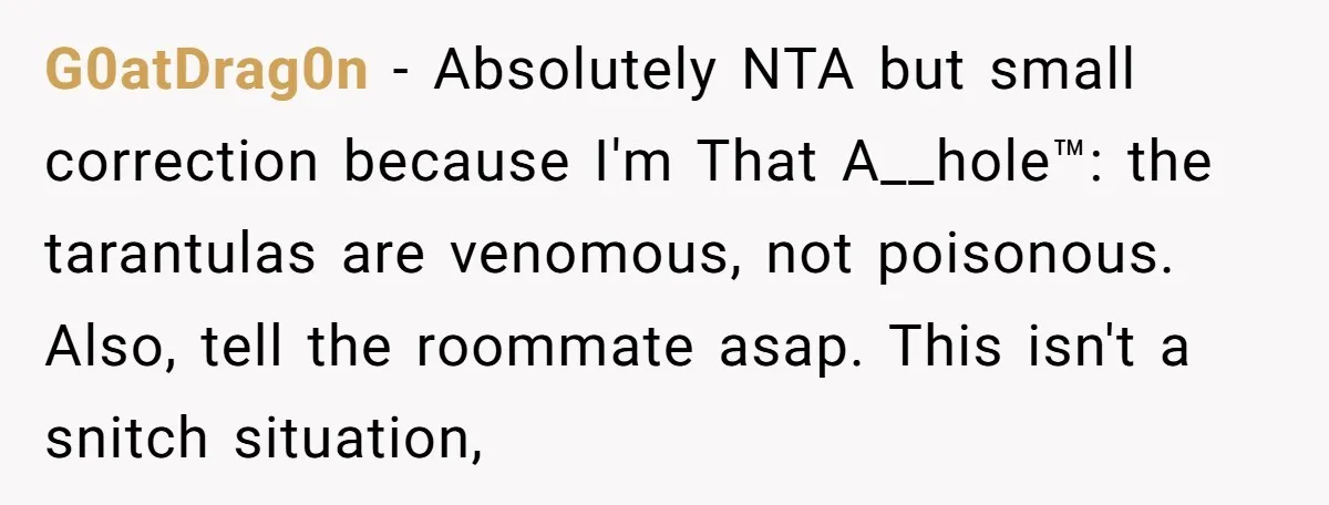 G0atDrag0n − Absolutely NTA but small correction because I'm That A__hole™: the tarantulas are venomous, not poisonous. Also, tell the roommate asap. This isn't a snitch situation,