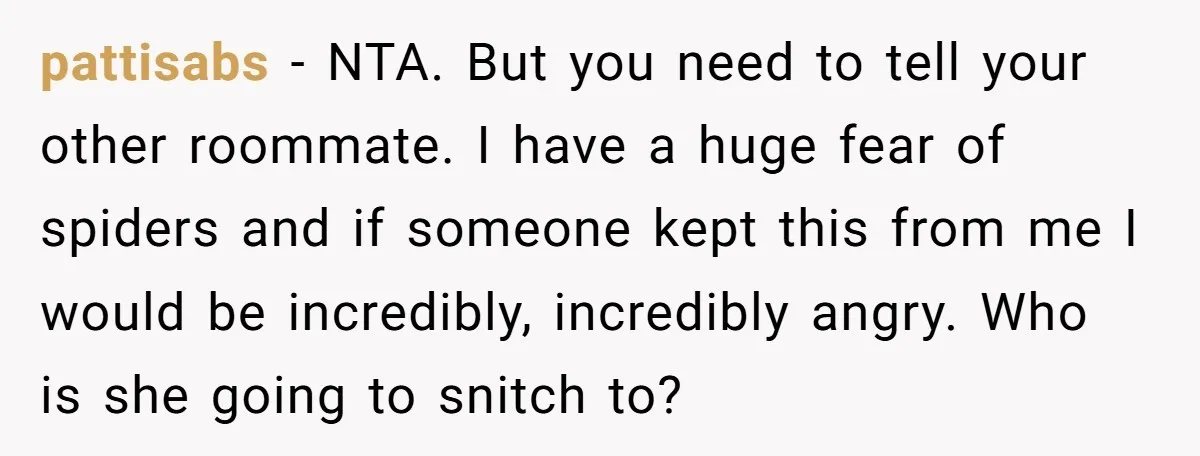 pattisabs − NTA. But you need to tell your other roommate. I have a huge fear of spiders and if someone kept this from me I would be incredibly, incredibly...