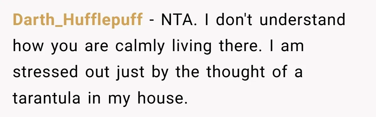 Darth_Hufflepuff − NTA. I don't understand how you are calmly living there. I am stressed out just by the thought of a tarantula in my house.