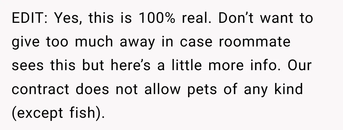 EDIT: Yes, this is 100% real. Don’t want to give too much away in case roommate sees this but here’s a little more info. Our contract does not allow pets...