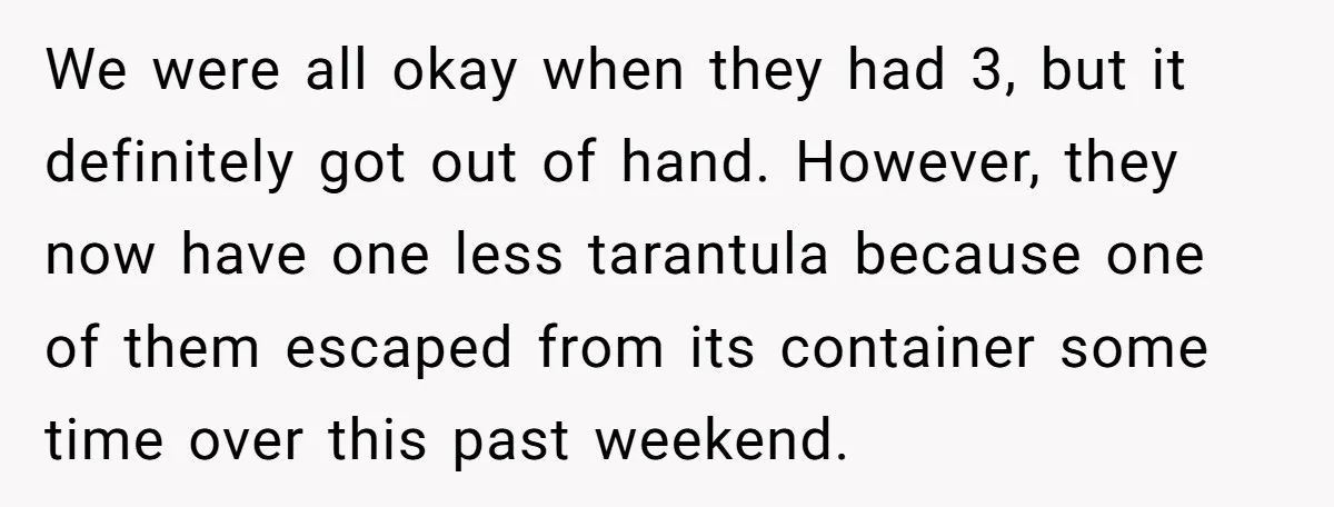 We were all okay when they had 3, but it definitely got out of hand. However, they now have one less tarantula because one of them escaped from its container...