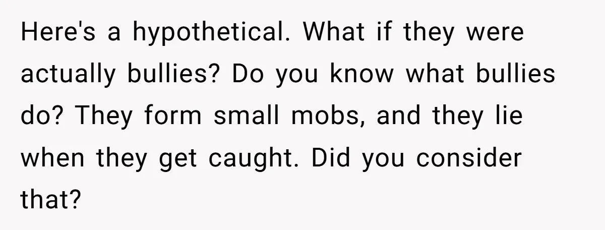 Here's a hypothetical. What if they were actually bullies? Do you know what bullies do? They form small mobs, and they lie when they get caught. Did you consider that?