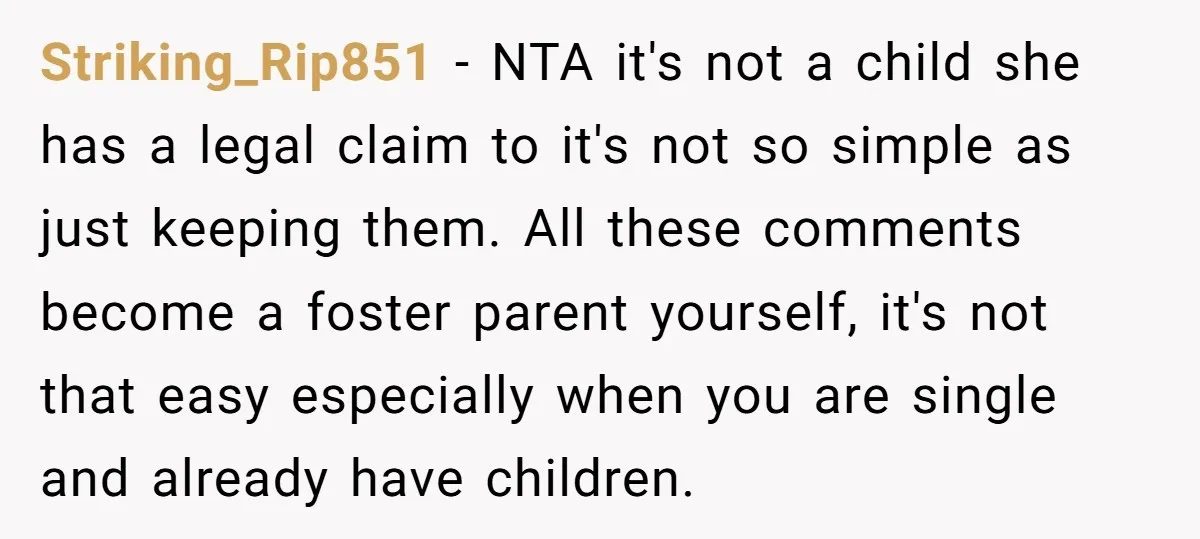 Striking_Rip851 − NTA it's not a child she has a legal claim to it's not so simple as just keeping them. All these comments become a foster parent yourself, it's...