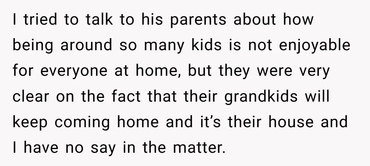 I tried to talk to his parents about how being around so many kids is not enjoyable for everyone at home, but they were very clear on the fact that...