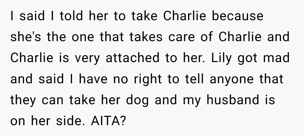 I said I told her to take Charlie because she's the one that takes care of Charlie and Charlie is very attached to her. Lily got mad and said I...
