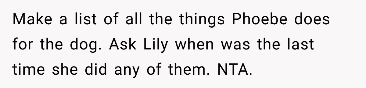 Make a list of all the things Phoebe does for the dog. Ask Lily when was the last time she did any of them. NTA.