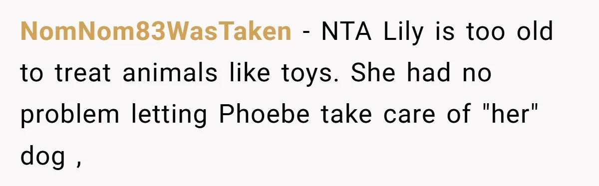 NomNom83WasTaken − NTA Lily is too old to treat animals like toys. She had no problem letting Phoebe take care of "her" dog ,