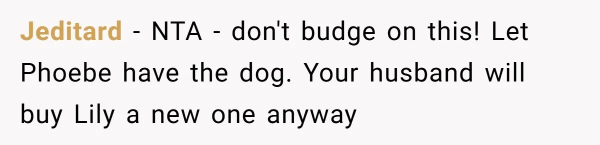 Jeditard − NTA - don't budge on this! Let Phoebe have the dog. Your husband will buy Lily a new one anyway