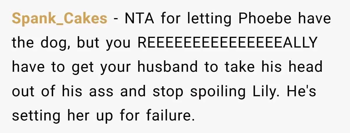 Spank_Cakes − NTA for letting Phoebe have the dog, but you REEEEEEEEEEEEEEEALLY have to get your husband to take his head out of his ass and stop spoiling Lily. He's...