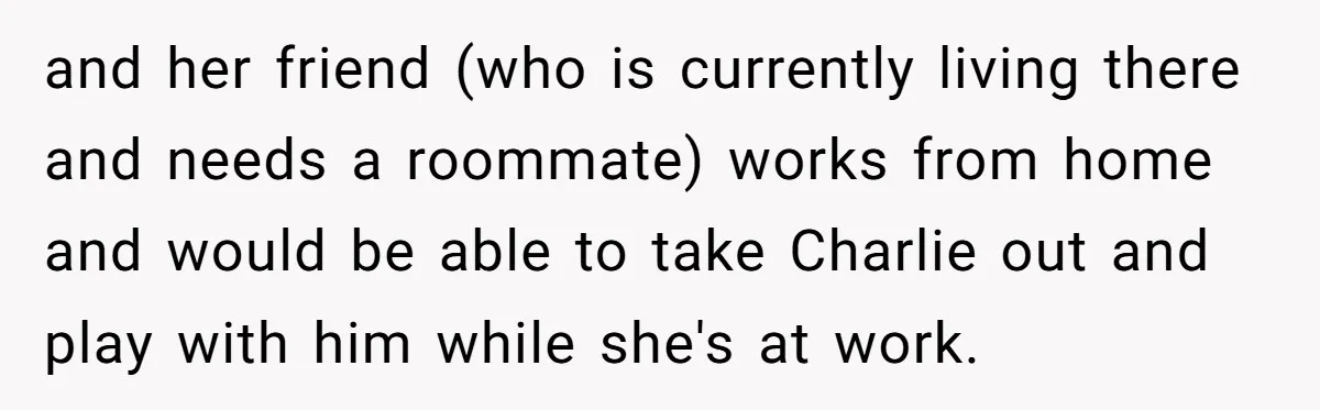 and her friend (who is currently living there and needs a roommate) works from home and would be able to take Charlie out and play with him while she's at...