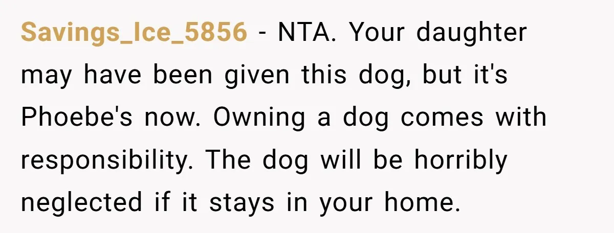 Savings_Ice_5856 − NTA. Your daughter may have been given this dog, but it's Phoebe's now. Owning a dog comes with responsibility. The dog will be horribly neglected if it stays...