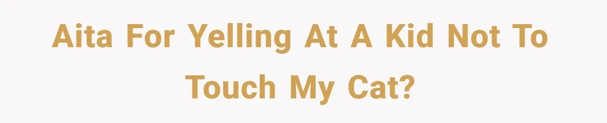 AITA for yelling at a kid not to touch my cat?
